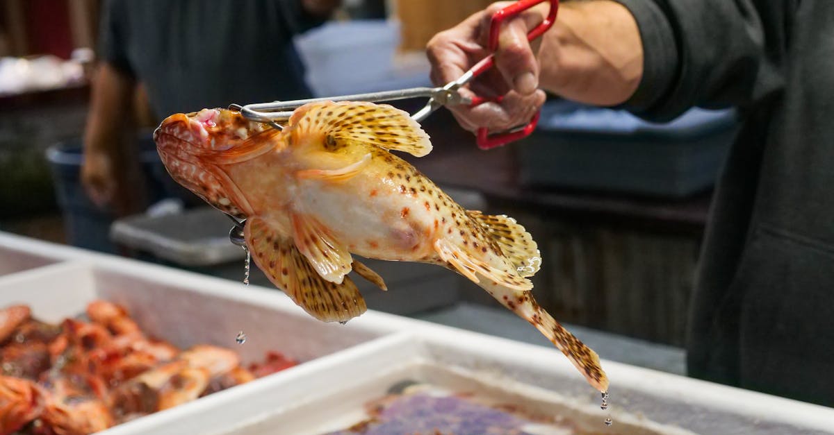 Poisson Cru (Tahitian Raw Fish Salad)