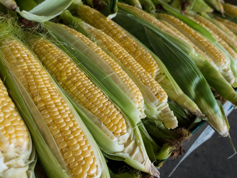 Elote (Mexican Street Corn)
