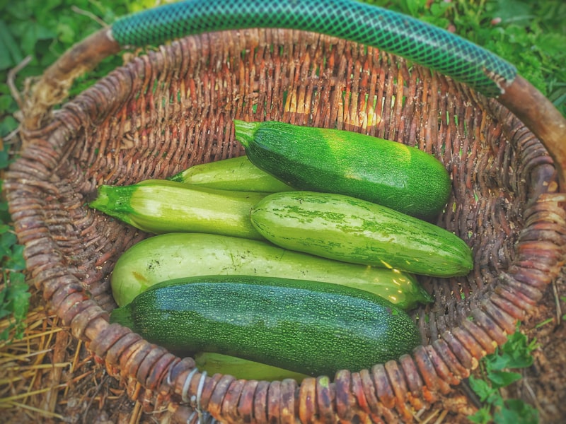 Grilled Zucchini with Lemon and Herbs